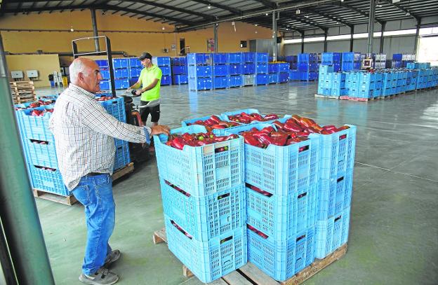 La ley de la cadena alimentaria cumple siete meses con mínimos avances