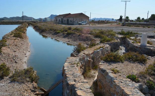 ANSE inicia un proyecto para recuperar la actividad salinera y la biodiversidad de Marchamalo en el Mar Menor