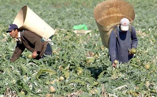 La Seguridad Social pierde 2.823 afiliados extranjeros en la Región de Murcia en junio