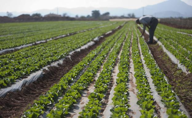 Los regantes denuncian trabas para producir alimentos saludables con «dignidad»