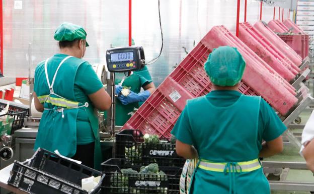 CC OO descarta una conversión general de fijos discontinuos a fijos