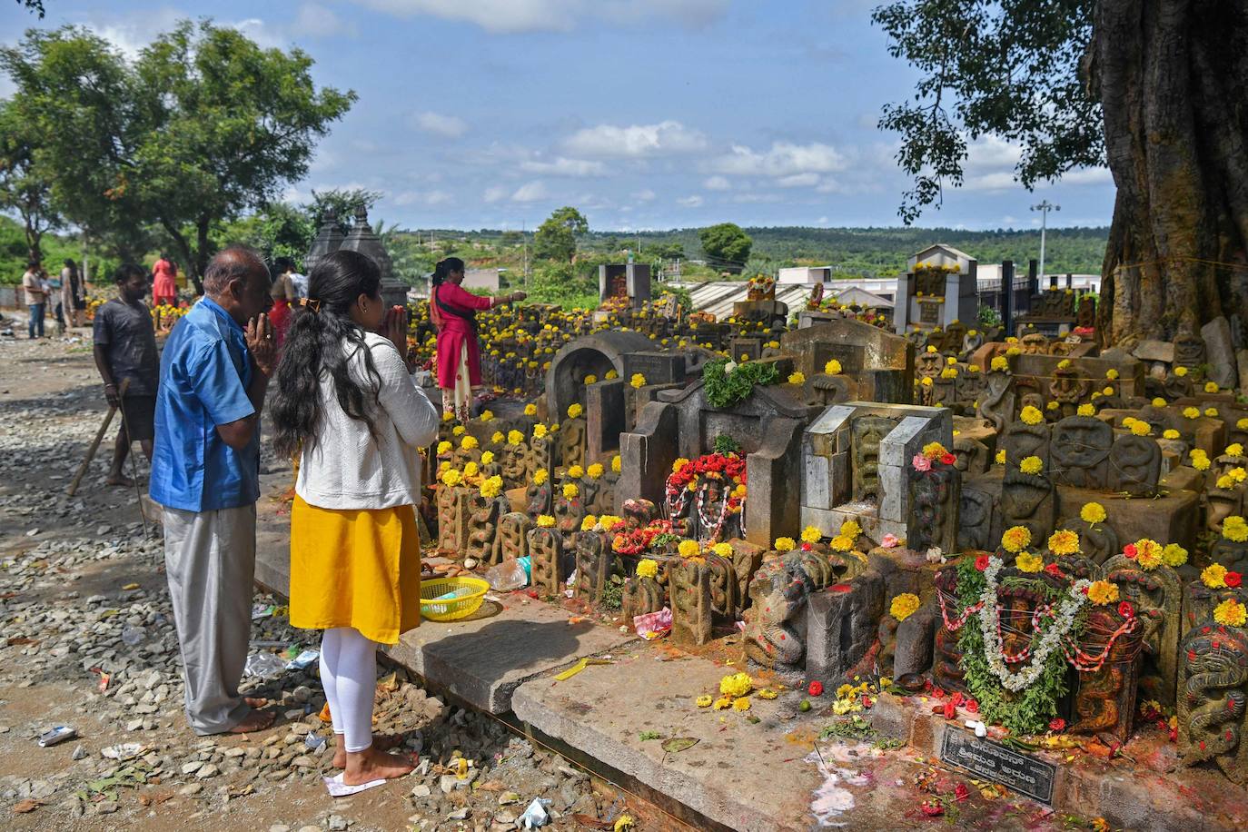 Ofrendas y adoración a las serpientes en Bangalore