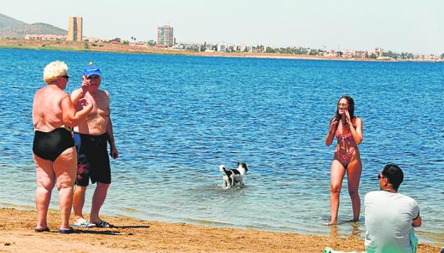 Polémica entre los vecinos por la creación de nuevas playas caninas en Cartagena