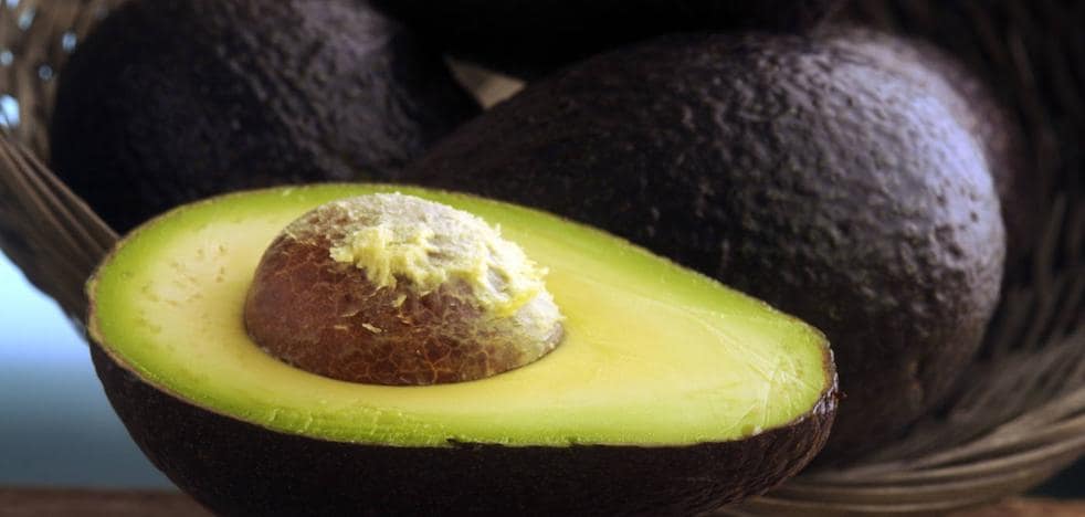 Avocado: recipes you can make with this trendy food