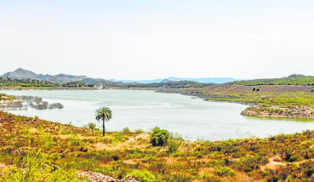 La prealerta en la cuenca del Segura genera incertidumbre entre regantes y agricultores