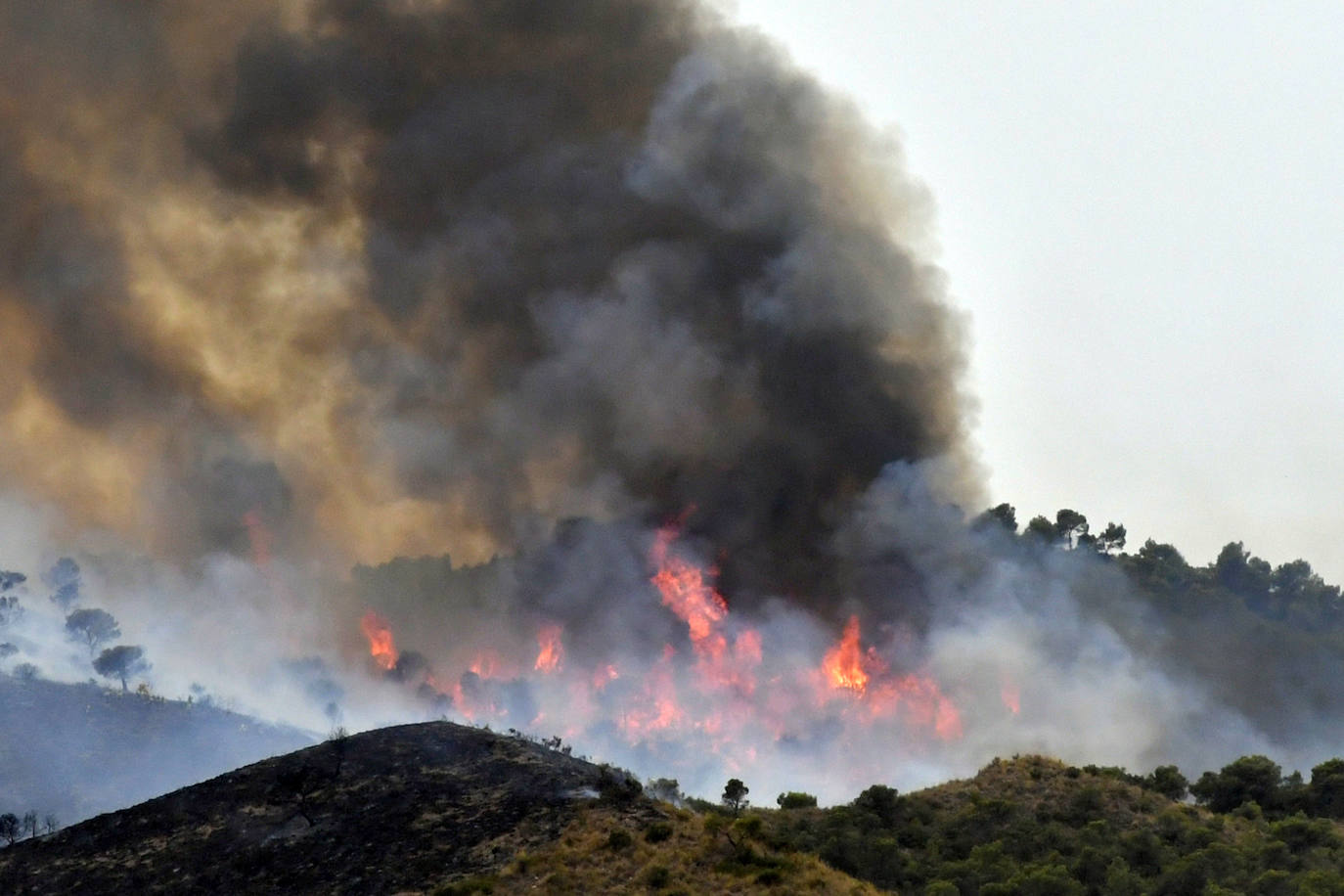 Controlado el incendio forestal de La Patoja, en Jumilla