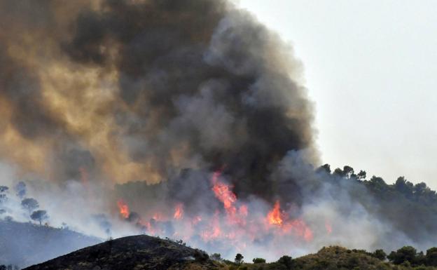 El incendio de Jumilla alcanza las 400 hectáreas calcinadas