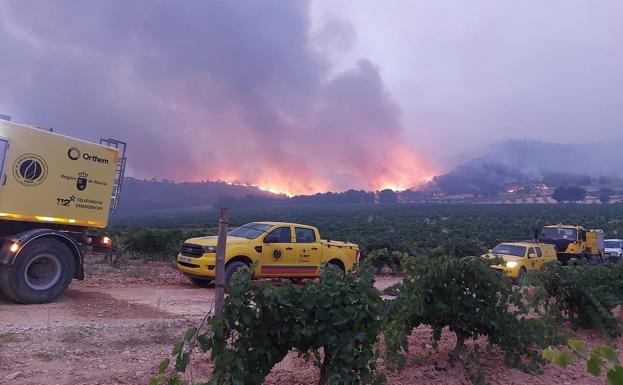 Flames of the Jumilla fire, this Saturday morning. 