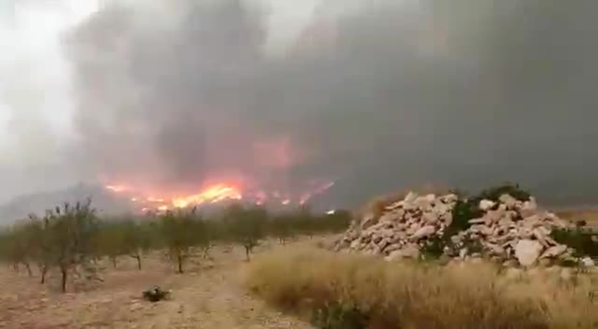 Incendio en el paraje de La Patoja, en Jumilla