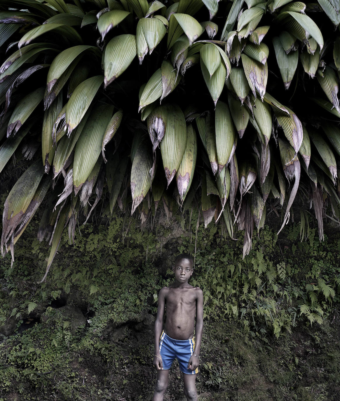 Exposiciones 'Fluye' y 'Son'