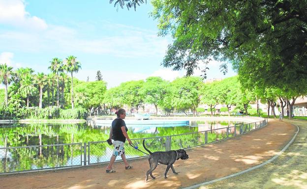 La nueva ordenanza de Murcia impide hacer reservas en el Centro de Zoonosis para adoptar mascotas