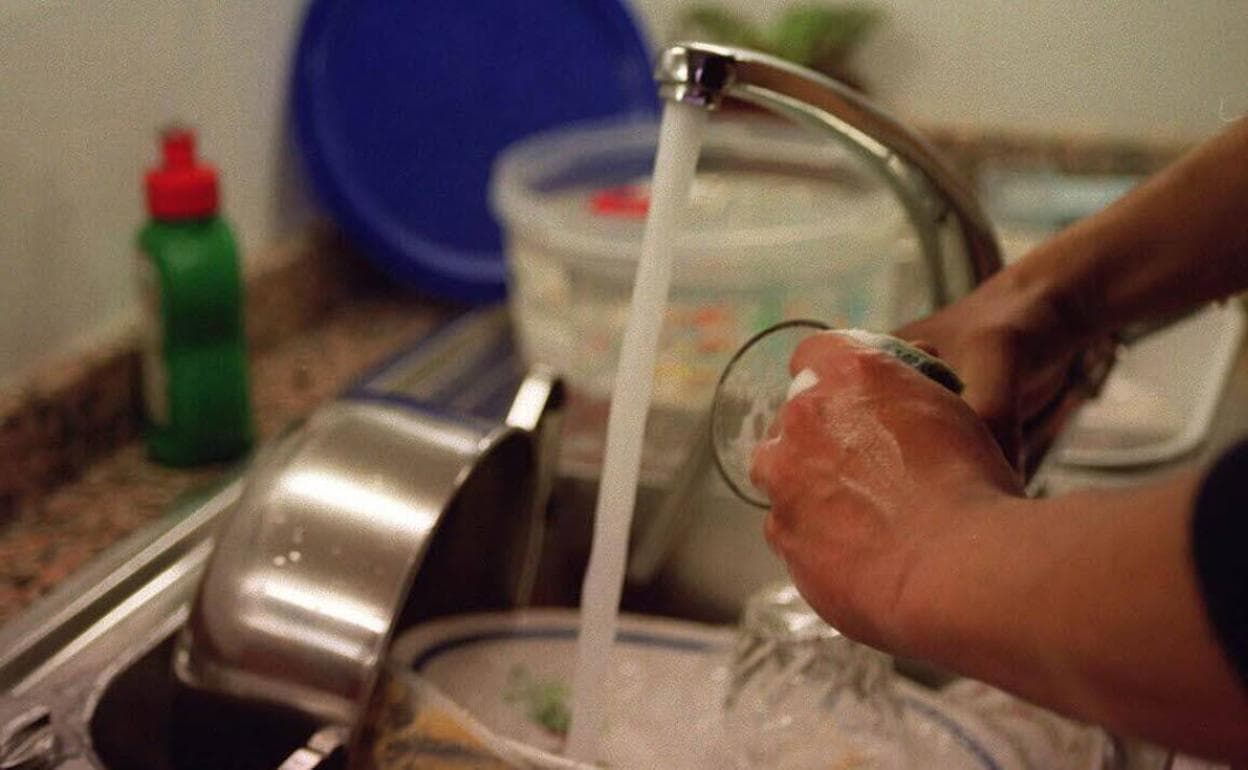 Solo haz Extranjero Cría Este es el mejor lavavajillas para fregar los platos a mano, según la OCU |  La Verdad