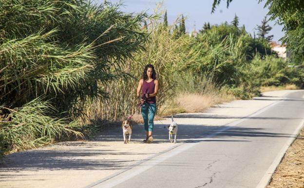 Los fondos de la UE aseguran la creación de la primera playa fluvial de Murcia