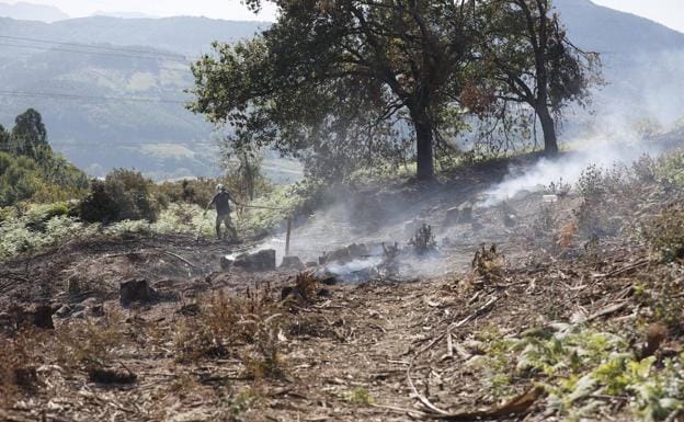 Mueren calcinados dos gemelos de 73 años en una quema controlada en Vizcaya