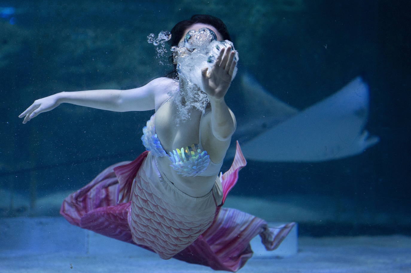 Avistamiento de sirenas en Corea del Sur