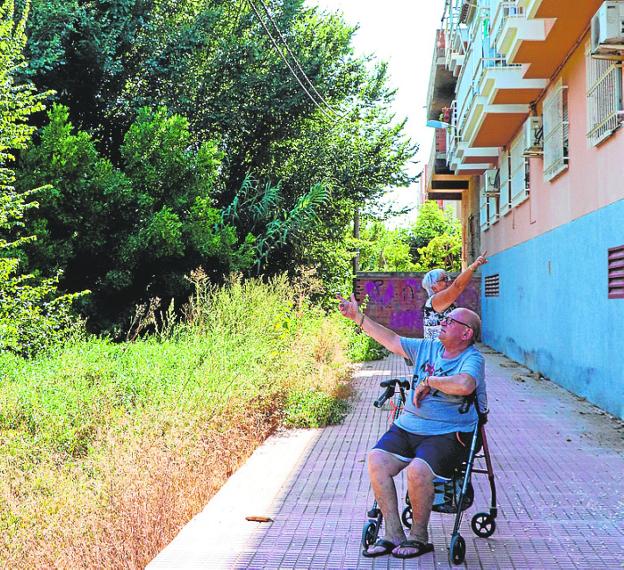 Vecinos de un edificio de Churra: «Tenemos un zoológico con ratas y culebras al lado de nuestras casas»