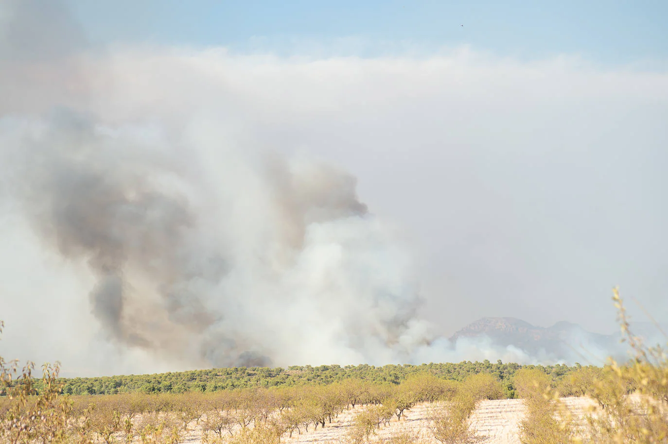 El incendio de Jumilla ha calcinado ya 400 hectáreas