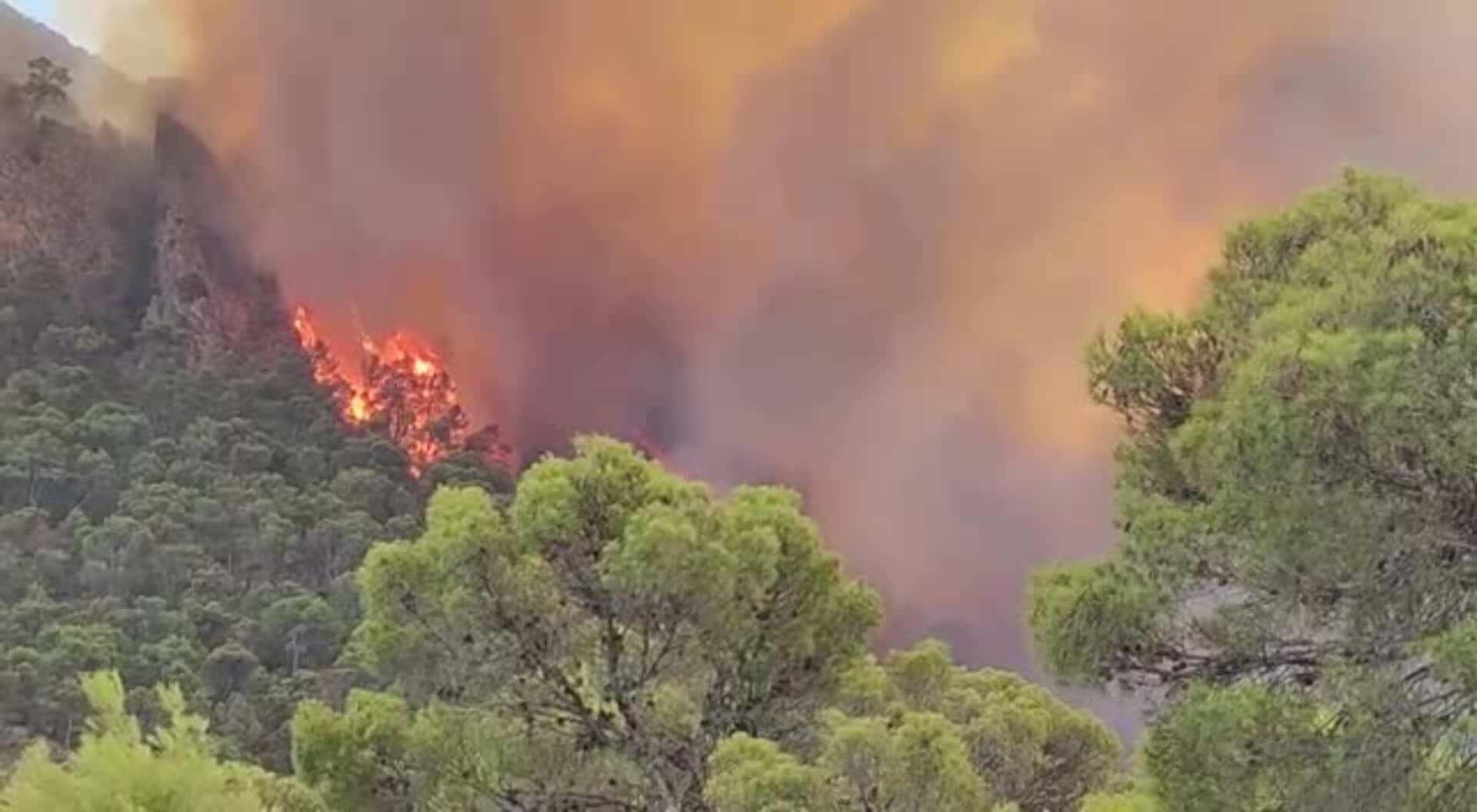 Virulento incendio en la Sierra Larga de Jumilla