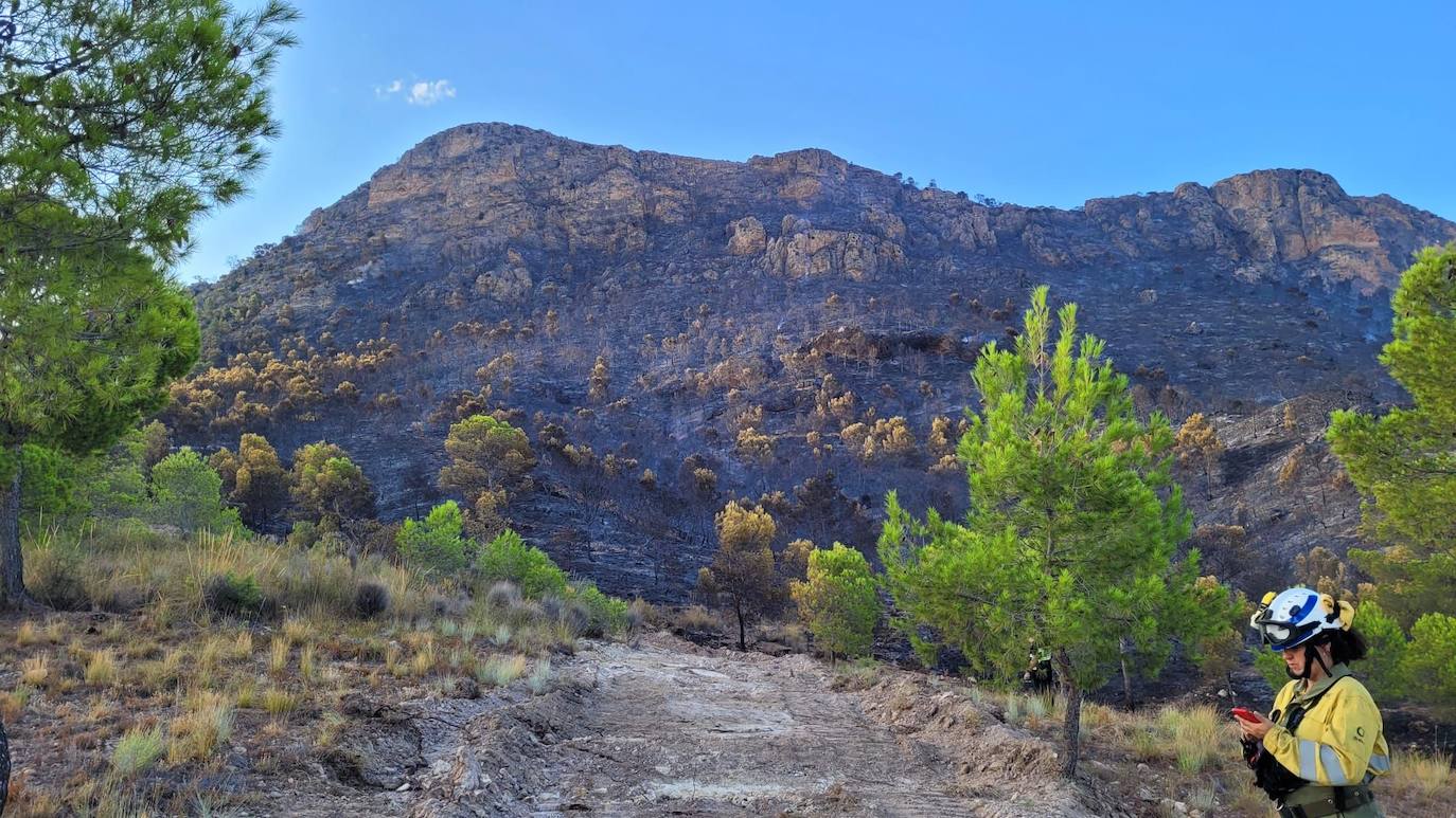 Dan por estabilizado el incendio en la Sierra Larga de Jumilla, que arrasó 410 hectáreas