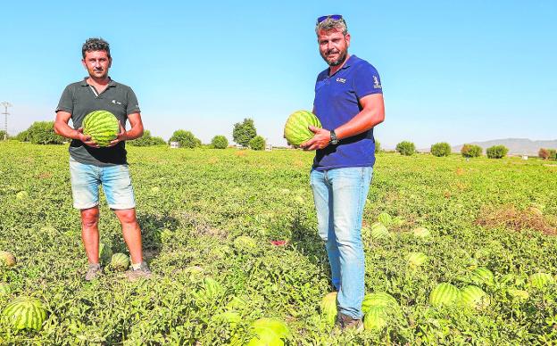 El motor que la ciencia ha puesto a la sandía