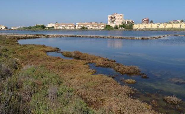 ANSE restaurará en La Manga las salinas con apoyo del Ayuntamiento de Cartagena