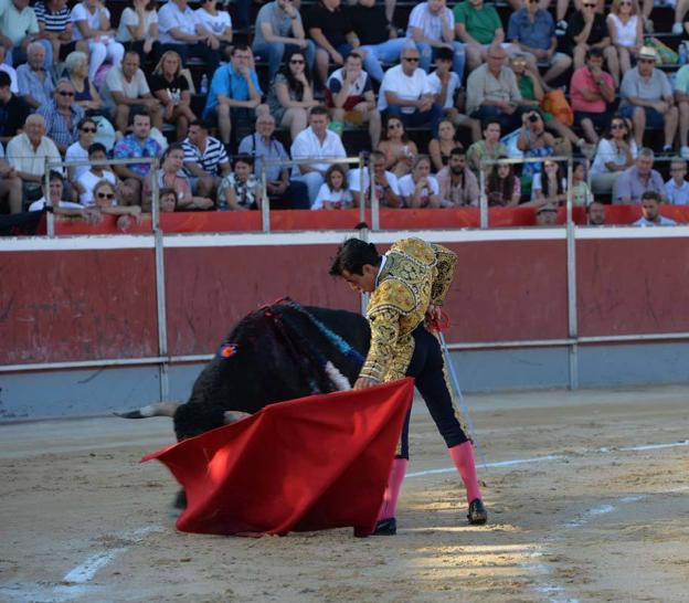José Rojo shows the crutch to one of his steers. 
