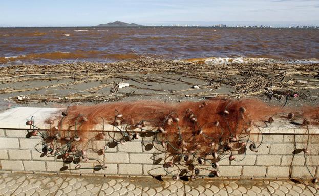 La nueva Ley de Restauración de la Naturaleza, a la medida del Mar Menor