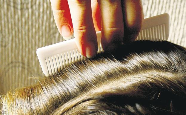 Los trucos que debes conocer para evitar y eliminar los piojos en la vuelta al cole