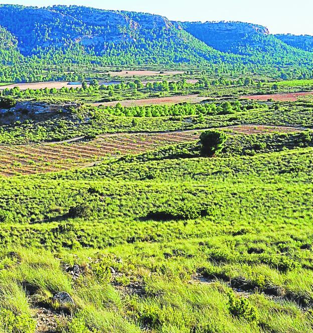 A la caza de nuevos emprendedores contra los efectos del cambio climático