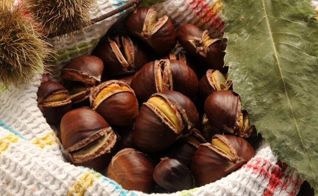 Descubre cómo calentar castañas de forma rápida en el microondas este otoño