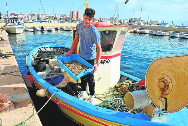 El langostino enseña al fin los bigotes en el Mar Menor