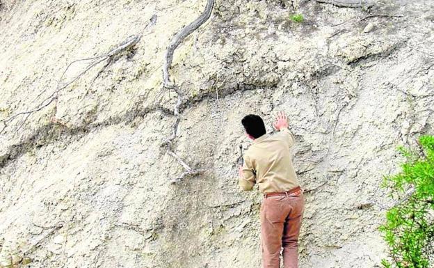 Geólogos de todo el mundo debatirán sobre la Capa Negra en Caravaca