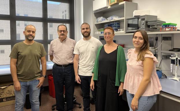 Los trasplantes de células madre, más eficaces con células del mismo paciente