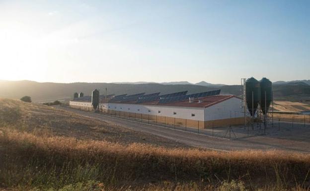 Ecologistas en Acción presenta alegaciones a cuatro macrogranjas de Lorca, Totana y Caravaca