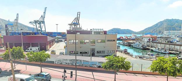 El Puerto de Cartagena abrirá al peatón parte de la fachada marítima de Santa Lucía con nuevos servicios