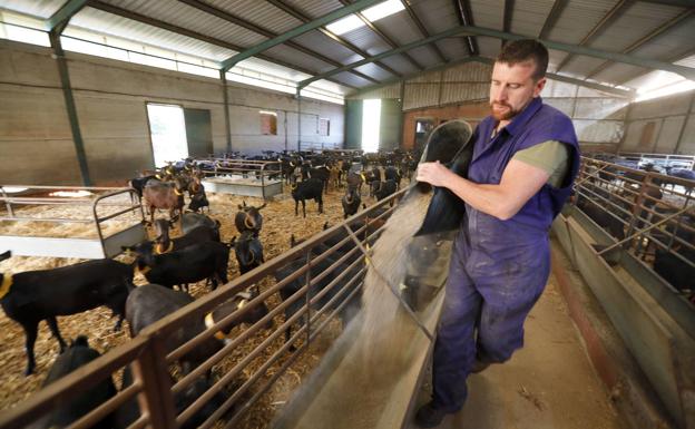 La Comunidad comienza a adelantar el pago de las ayudas de la PAC a 10.500 agricultores y ganaderos