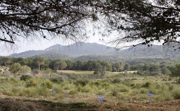 El TSJ respalda el rechazo municipal y regional a una urbanización que invadiría Calblanque