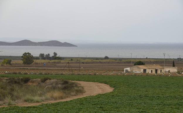 El sector agro al completo pide a la CHS que elimine sus medidas del Mar Menor