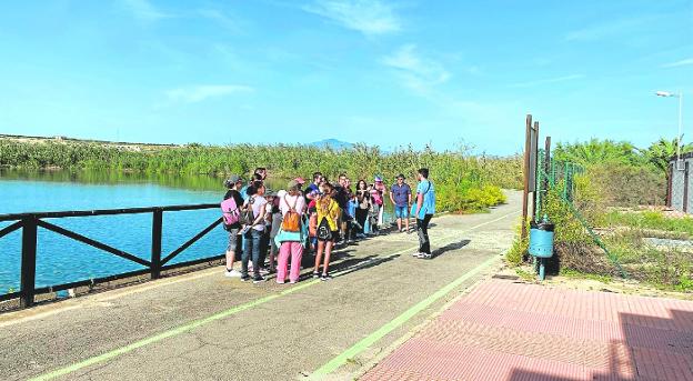 Rutas guiadas y talleres en Molina para dar a conocer y valorar la naturaleza