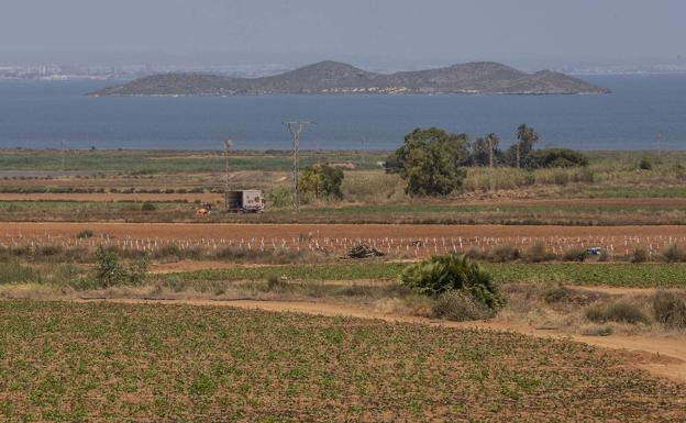 Crops near the Mar Menor, in a file photo.