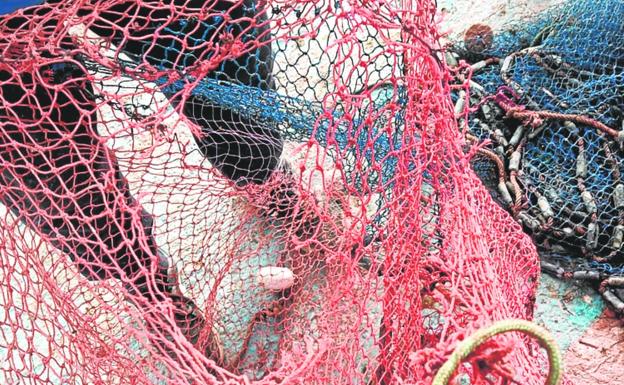 Los pescadores del Mar Menor se quejan de daños en las redes causados por los inspectores