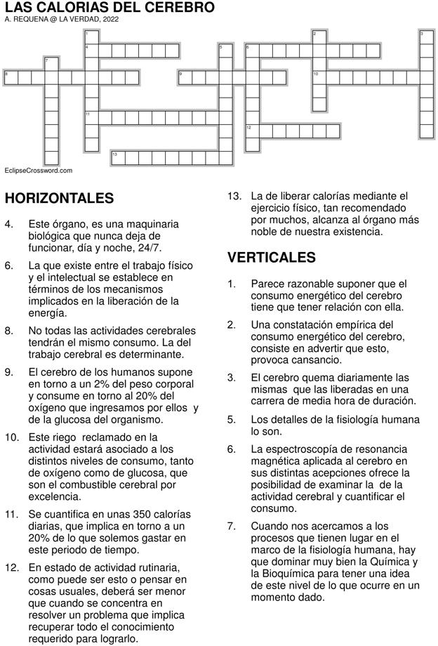 Las calorías del cerebro