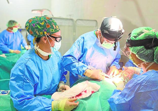 Cirugía Solidaria lleva a cabo en Senegal 400 intervenciones