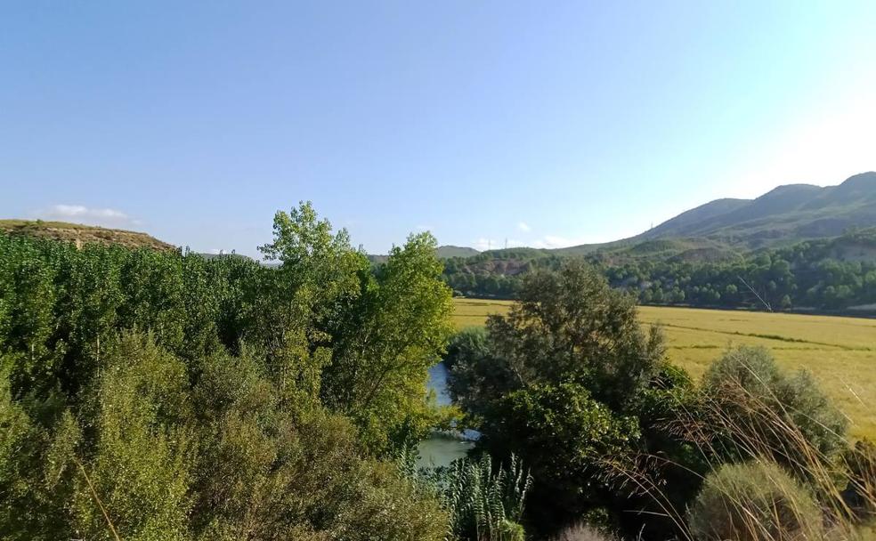 Ensayo para preparar el río Segura frente al cambio climático