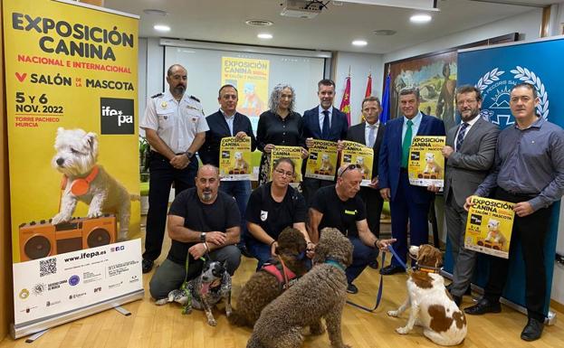 La exposición internacional canina regresa este fin de semana a Ifepa