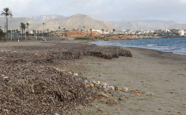 Costas licita las obras del paseo del Alamillo tras dos décadas de retrasos