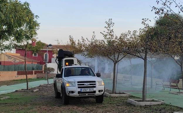 Refuerzan la lucha contra los mosquitos y las ratas en solares, parques y casas de Cartagena