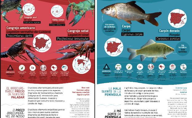 Presencias peligrosas en una cuenca sensible