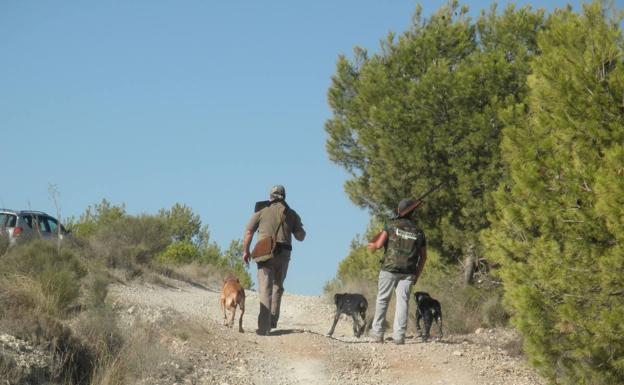 La Consejería fija el calendario de los exámenes para obtener y recuperar la licencia de caza
