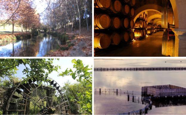 Vota la mejor localización otoñal de la Región y participa en el sorteo de una botella de vino